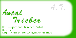 antal trieber business card